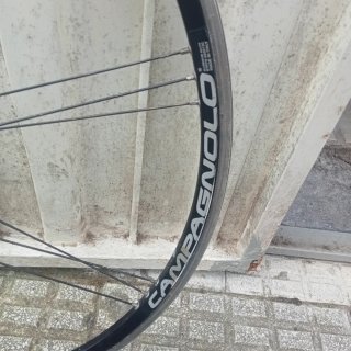 Rueda Campagnolo Vento