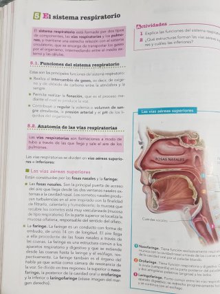Anatomía aplicada Bachillerato 1
