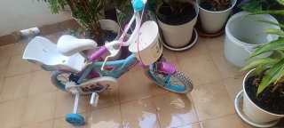 Bicicleta Infantil Frozen