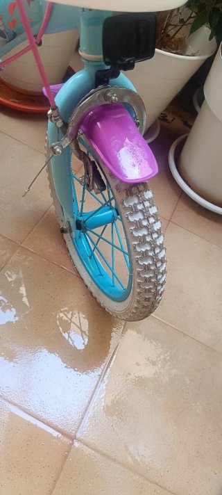 Bicicleta Infantil Frozen
