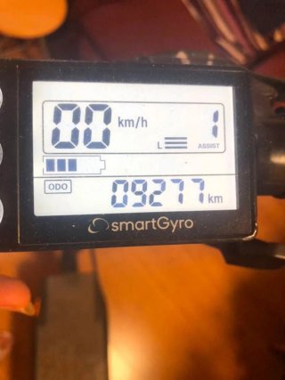 Patín Eléctrico SmartGyro Rockway