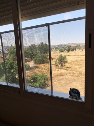 Habitación grande para no fumadores