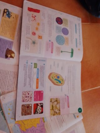 Lote Libros Conocimiento del Medio 5º Primaria