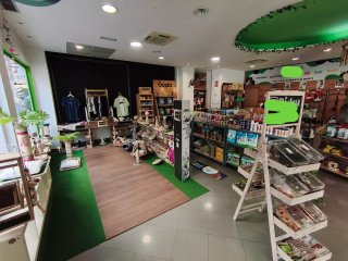 Cama y Rascador para Gatos Estilo Carro Vaquero
