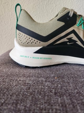 Nike Pegasus Trail 4 Beige/Verde