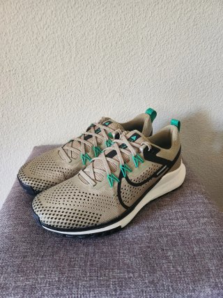 Nike Pegasus Trail 4 Beige/Verde