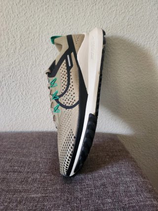 Nike Pegasus Trail 4 Beige/Verde