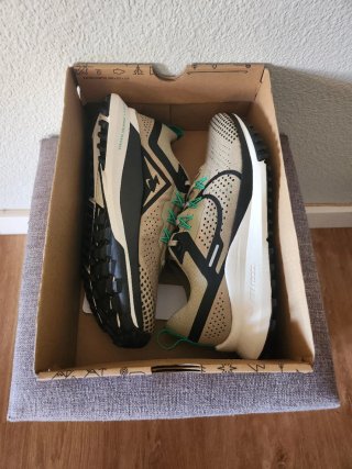 Nike Pegasus Trail 4 Beige/Verde
