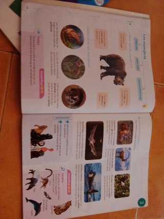 Libro Conocimiento del Medio 3 Primaria