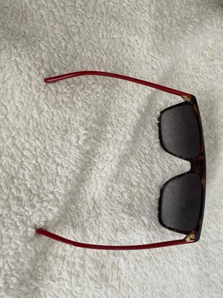 Gafas de sol Carrera C Flex Marrón/Rojo