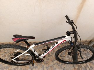 Bicicleta da Montagna Specialized