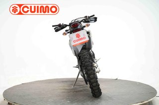 TRIUMPH TF 250-E