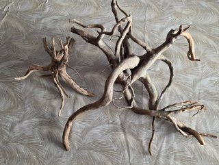 Vendo conjunto de raíces para acuario