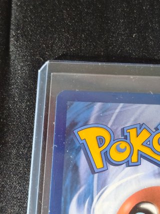 Lechonk 207/091 (Shiny) Paldean Fates NM Inglés