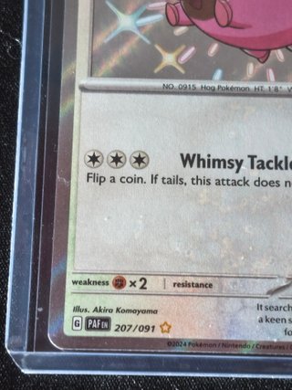 Lechonk 207/091 (Shiny) Paldean Fates NM Inglés