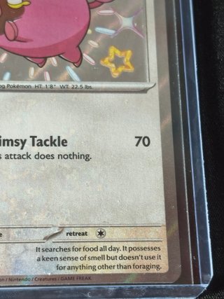 Lechonk 207/091 (Shiny) Paldean Fates NM Inglés