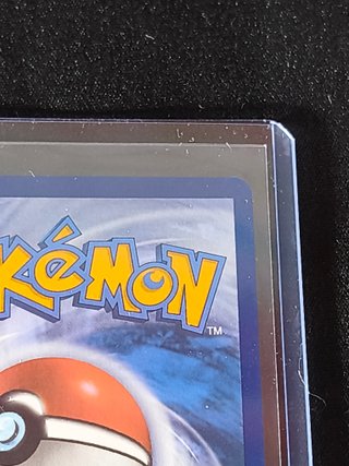 Lechonk 207/091 (Shiny) Paldean Fates NM Inglés