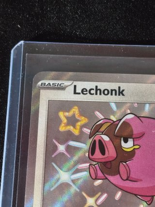 Lechonk 207/091 (Shiny) Paldean Fates NM Inglés