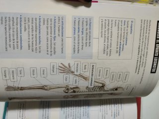 Conocimiento del Medio 6, Tercer Ciclo Primaria...