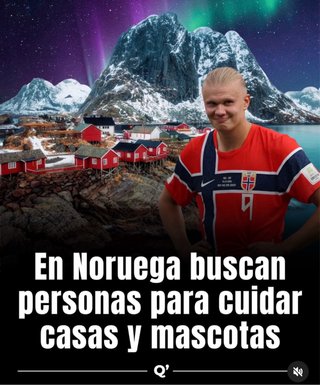 Classes de noruego