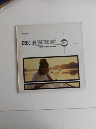 Lote 10 Vinilos Pop/Rock/folk/country Internaciona