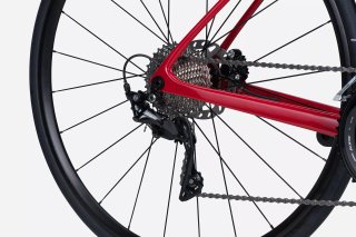 Lapierre Pulsium SAT 5.0 Disc 2024 Roja