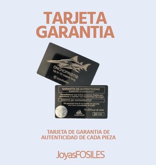 Fósil Onchopristis Gigante 95 Millon años