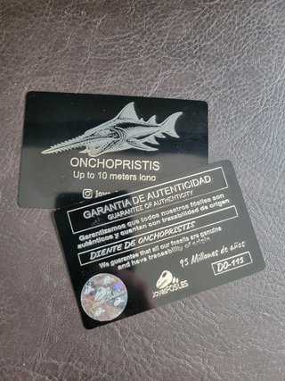 Fósil Onchopristis Gigante 95 Millon años