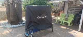 Mesa de ping pong azul plegable