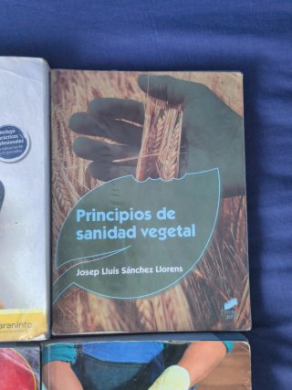 Libros primero grado medio EFA