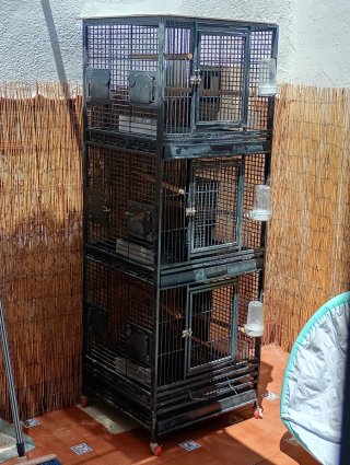 Jaula triple para pájaros