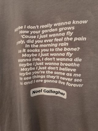 Camiseta Oasis Live Forever Talla L
