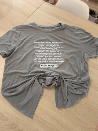 Camiseta Oasis Live Forever Talla L