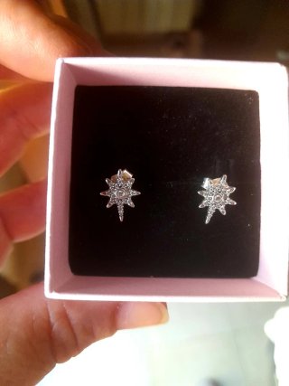 Pendientes Pandora Estrella Polar Plata