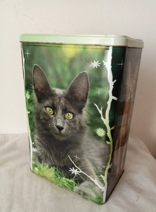Scatola metallo con gatti Royal Canin