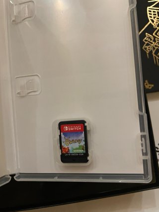 Owlboy Edición Limitada Switch + Lámina