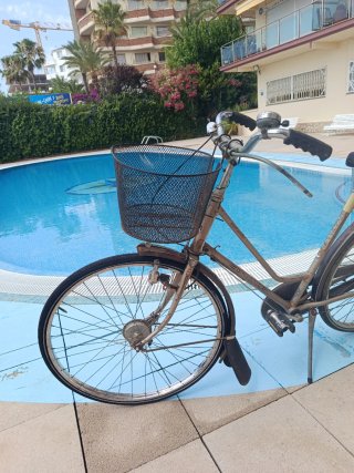 Bicicleta Holandesa Gazelle