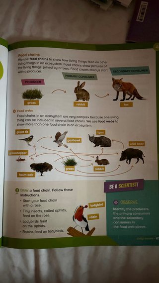 pack libros natural science 3 primaria santillana