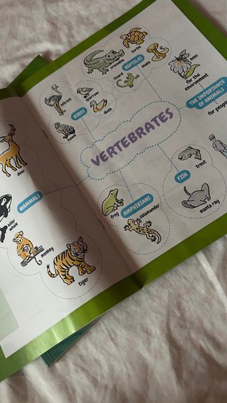 pack libros natural science 3 primaria santillana