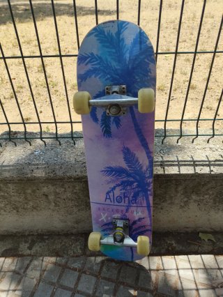 skateboard / monopatín