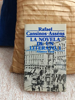 La novela de un literato, 1