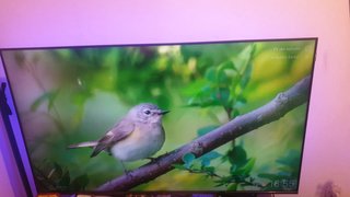 TV TCL 55 QLED 4K 55C655