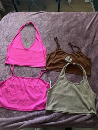 Lote de Crop Tops y Camisetas