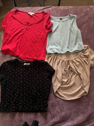 Lote de Crop Tops y Camisetas