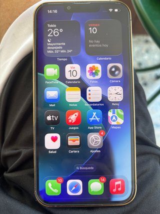 iPhone 13 Pro Oro/Argento