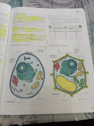 Biología y Geología 1 ESO