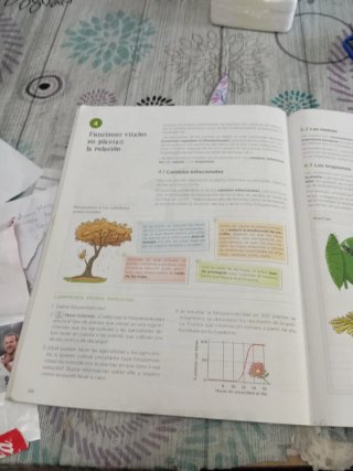 Biología y Geología 1 ESO