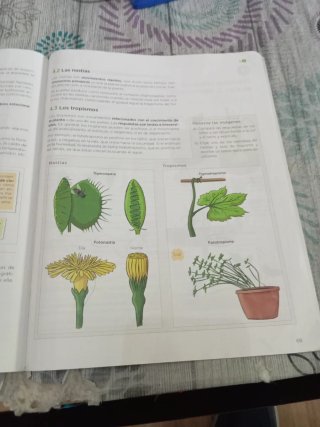 Biología y Geología 1 ESO