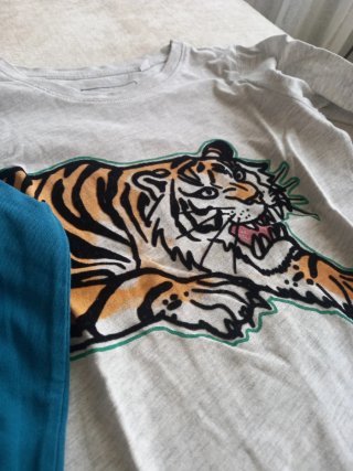 Lote Ropa Niño Camiseta Tigre y Camiseta Hello