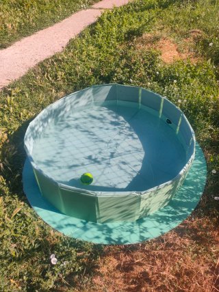 Piscina plegable para mascotas